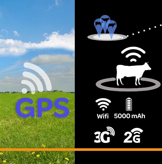 GPS, Wifi, Bateria de 5000 mili amper, tres G y dos G